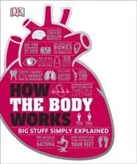 How the body works